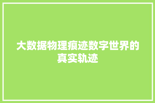 大数据物理痕迹数字世界的真实轨迹