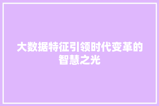 大数据特征引领时代变革的智慧之光