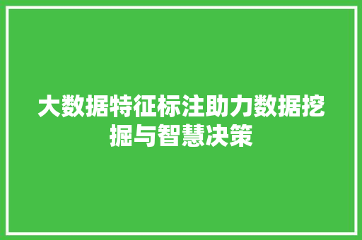 大数据特征标注助力数据挖掘与智慧决策  第1张