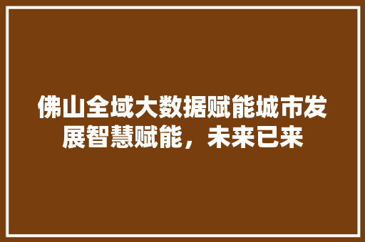 佛山全域大数据赋能城市发展智慧赋能，未来已来