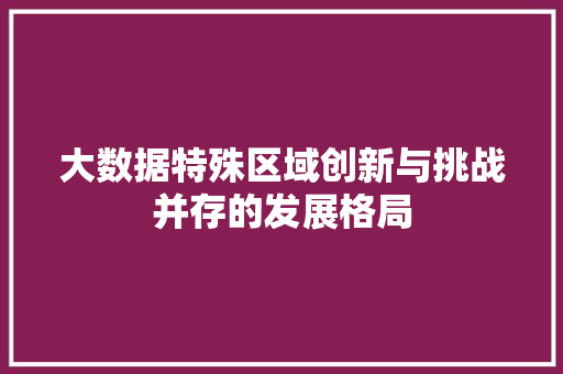 大数据特殊区域创新与挑战并存的发展格局
