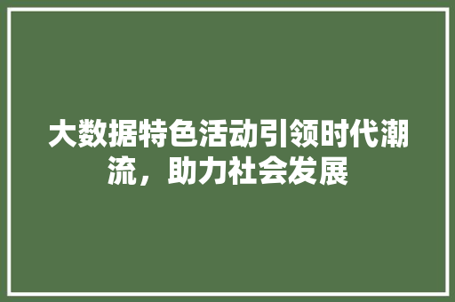大数据特色活动引领时代潮流，助力社会发展