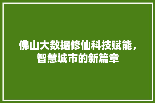 佛山大数据修仙科技赋能，智慧城市的新篇章