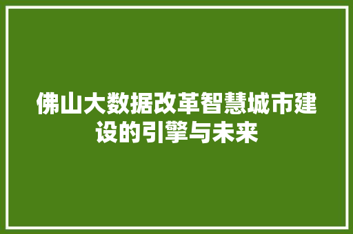 佛山大数据改革智慧城市建设的引擎与未来