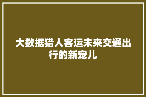 大数据猎人客运未来交通出行的新宠儿