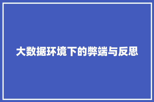 大数据环境下的弊端与反思  第1张