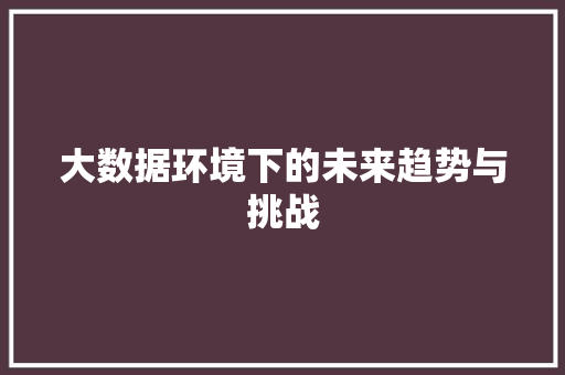 大数据环境下的未来趋势与挑战  第1张