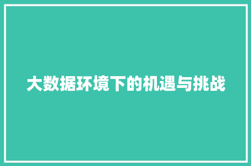 大数据环境下的机遇与挑战  第1张
