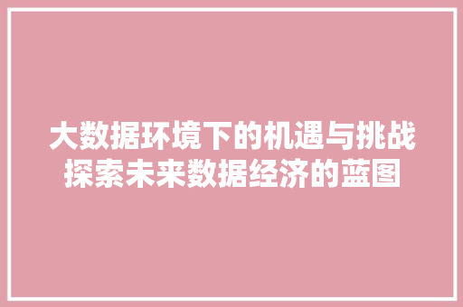 大数据环境下的机遇与挑战探索未来数据经济的蓝图  第1张