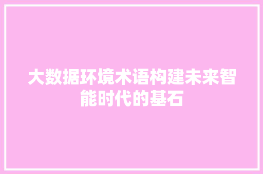 大数据环境术语构建未来智能时代的基石