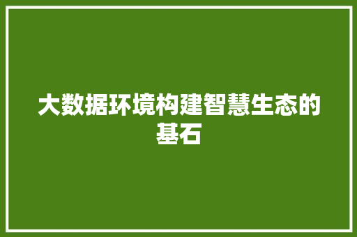 大数据环境构建智慧生态的基石