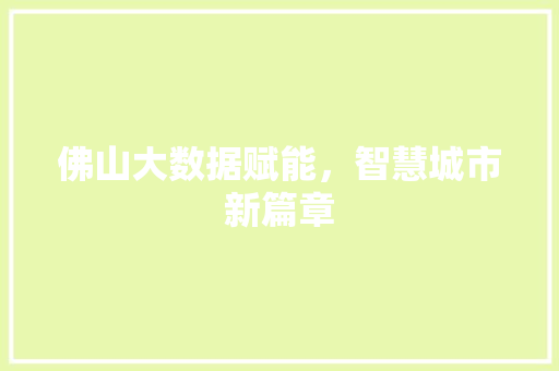 佛山大数据赋能，智慧城市新篇章