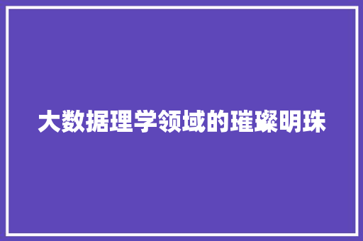 大数据理学领域的璀璨明珠