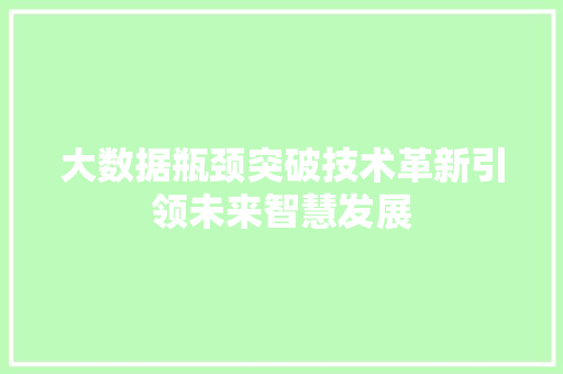 大数据瓶颈突破技术革新引领未来智慧发展