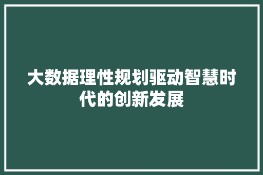 大数据理性规划驱动智慧时代的创新发展