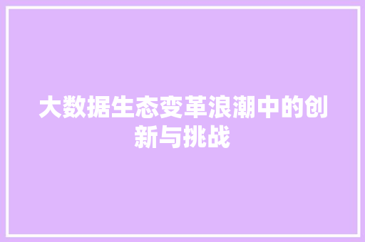 大数据生态变革浪潮中的创新与挑战