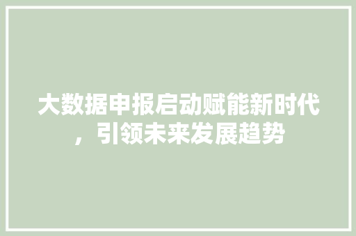 大数据申报启动赋能新时代，引领未来发展趋势