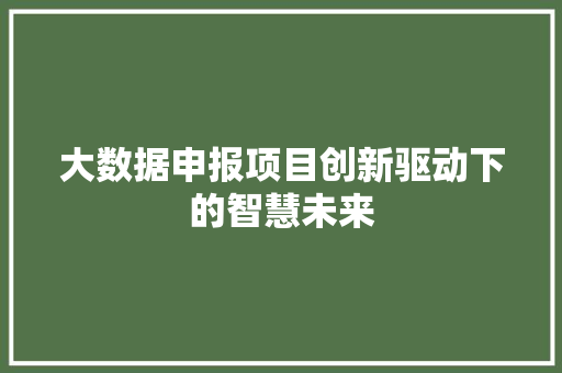 大数据申报项目创新驱动下的智慧未来  第1张