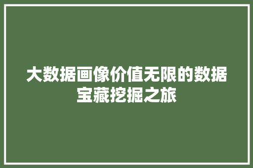 大数据画像价值无限的数据宝藏挖掘之旅  第1张