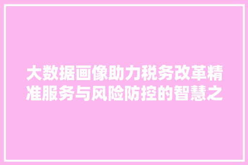 大数据画像助力税务改革精准服务与风险防控的智慧之路