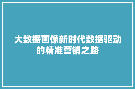 大数据画像新时代数据驱动的精准营销之路  第1张