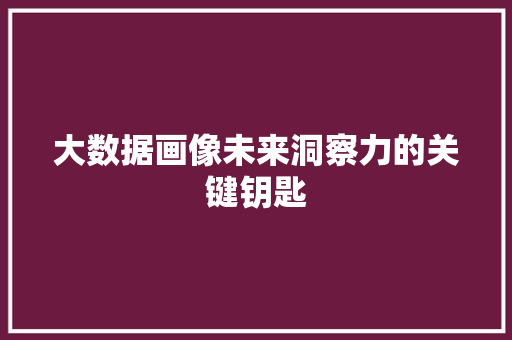 大数据画像未来洞察力的关键钥匙  第1张