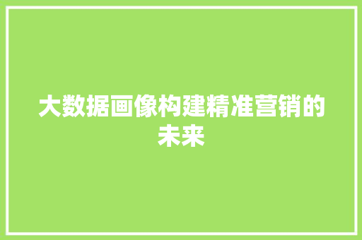 大数据画像构建精准营销的未来  第1张