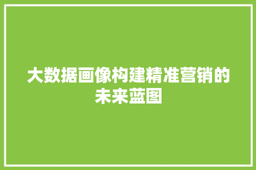 大数据画像构建精准营销的未来蓝图  第1张