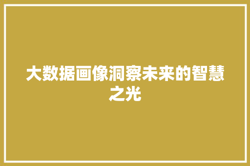 大数据画像洞察未来的智慧之光  第1张