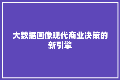 大数据画像现代商业决策的新引擎  第1张