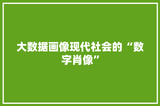 大数据画像现代社会的“数字肖像”  第1张