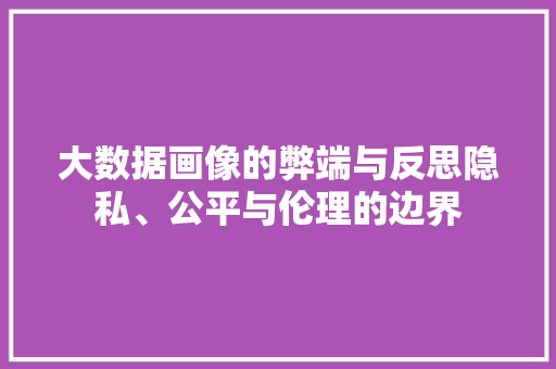 大数据画像的弊端与反思隐私、公平与伦理的边界  第1张
