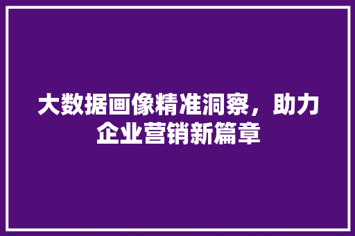 大数据画像精准洞察，助力企业营销新篇章  第1张