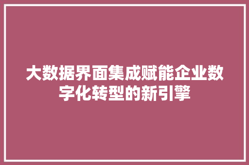 大数据界面集成赋能企业数字化转型的新引擎
