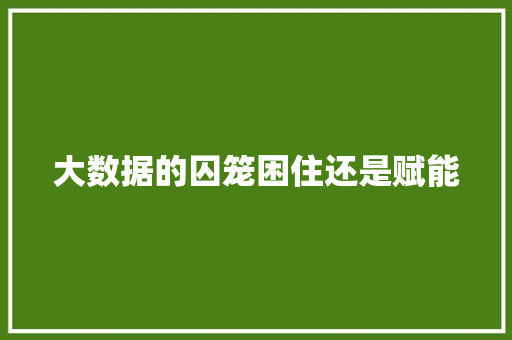 大数据的囚笼困住还是赋能  第1张