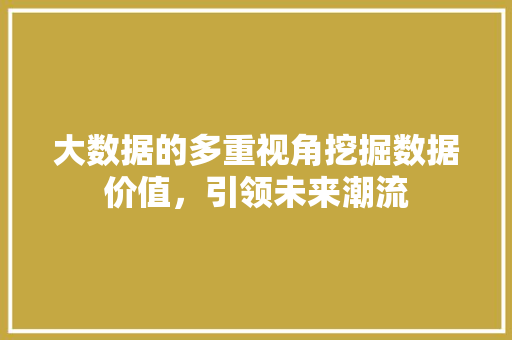 大数据的多重视角挖掘数据价值，引领未来潮流  第1张