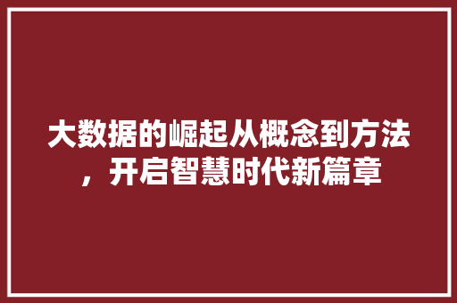 大数据的崛起从概念到方法，开启智慧时代新篇章