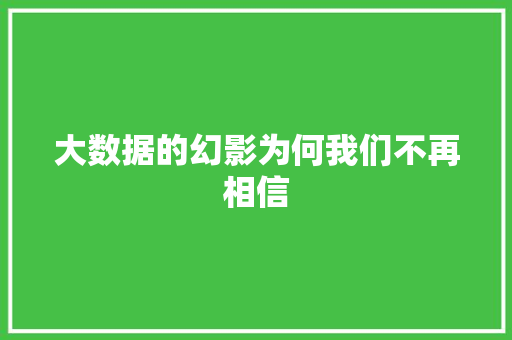 大数据的幻影为何我们不再相信