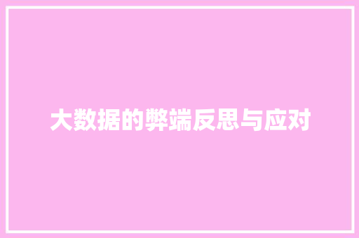 大数据的弊端反思与应对  第1张