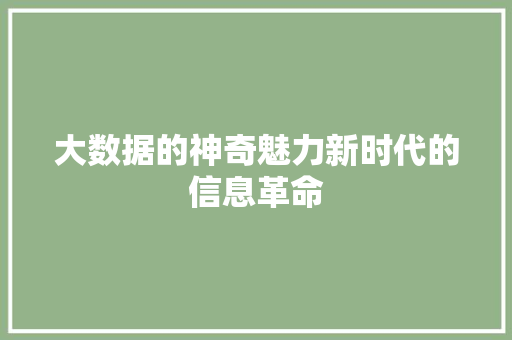 大数据的神奇魅力新时代的信息革命  第1张