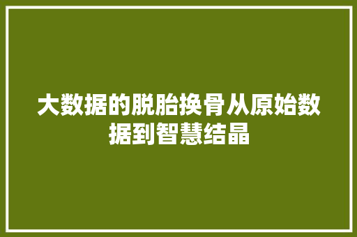 大数据的脱胎换骨从原始数据到智慧结晶