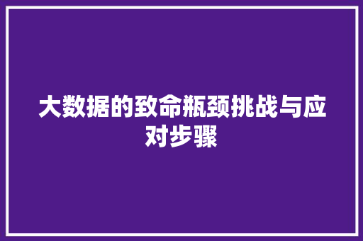 大数据的致命瓶颈挑战与应对步骤  第1张