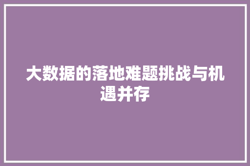 大数据的落地难题挑战与机遇并存  第1张