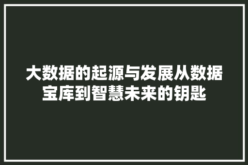 大数据的起源与发展从数据宝库到智慧未来的钥匙  第1张