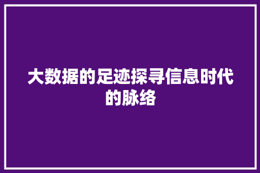 大数据的足迹探寻信息时代的脉络  第1张