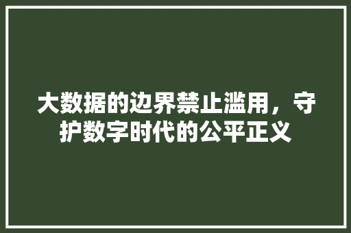 大数据的边界禁止滥用，守护数字时代的公平正义  第1张