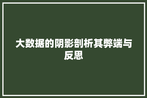 大数据的阴影剖析其弊端与反思