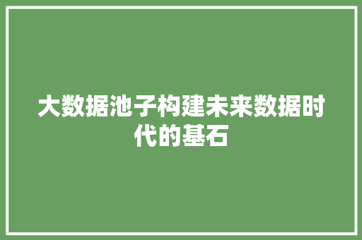大数据池子构建未来数据时代的基石