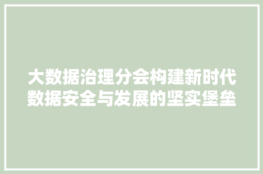 大数据治理分会构建新时代数据安全与发展的坚实堡垒