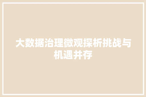 大数据治理微观探析挑战与机遇并存  第1张